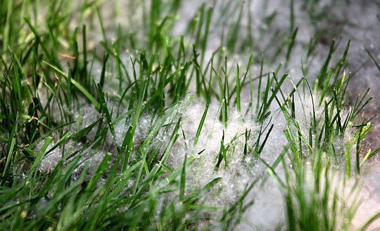 冬季將至，如何除去人造草皮中的冰雪？鉆石地為您支招